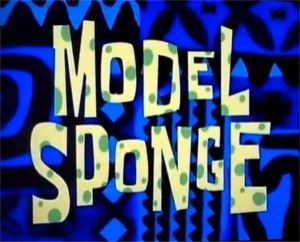 Model Sponge