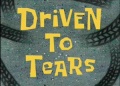 Driven to Tears.jpg