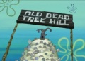 Old-Dead-Tree-Hill.jpg