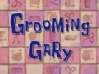 Grooming Gary.jpg