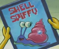 Shell-Spiffy-2.jpg