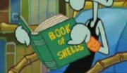 Book of Shells.jpg