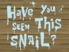 Titlecard-Have You Seen This Snail?.jpg