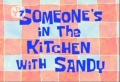 Someone's-in-the-Kitchen-with-Sandy.jpg