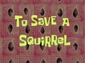 Squirrelep.jpg