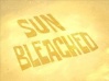 Titlecard-Sun Bleached.jpg