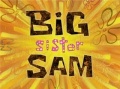 Big sister sam.jpg
