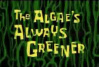 Titlecard The Algae’s Always Greener.jpg