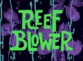 Reef Blower.jpg