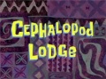 Titlecard-Cephalopod Lodge.jpg