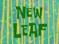 New Leaf.jpg