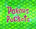 112a Porous Pockets.jpg